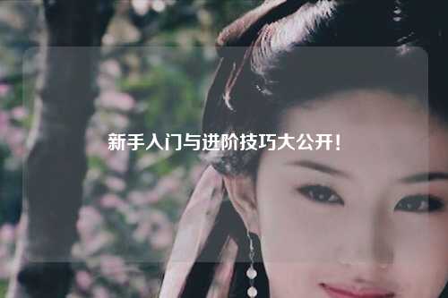 新手入门与进阶技巧大公开！
