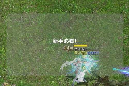 新手必看！