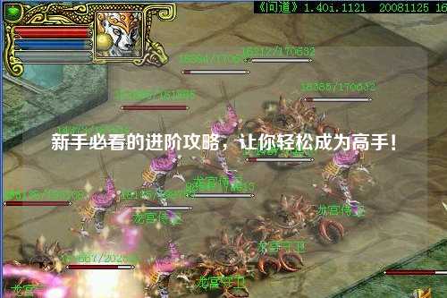 新手必看的进阶攻略，让你轻松成为高手！