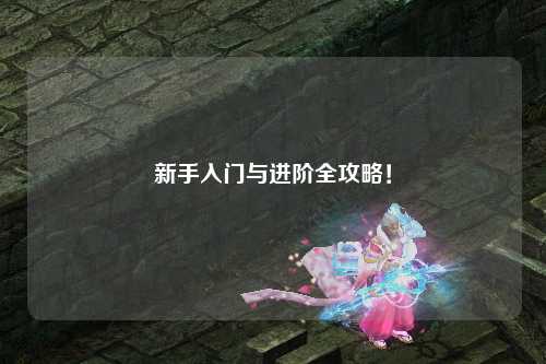 新手入门与进阶全攻略！