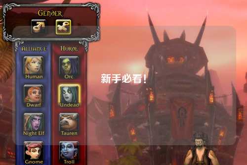 新手必看！