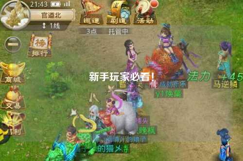 新手玩家必看！