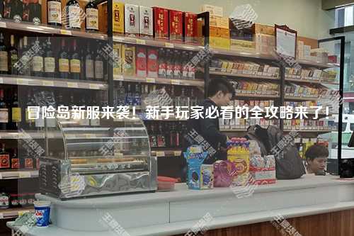 冒险岛新服来袭！新手玩家必看的全攻略来了！
