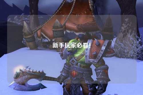 新手玩家必看！