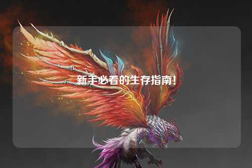 新手必看的生存指南！
