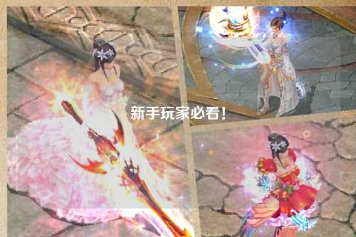 新手玩家必看！